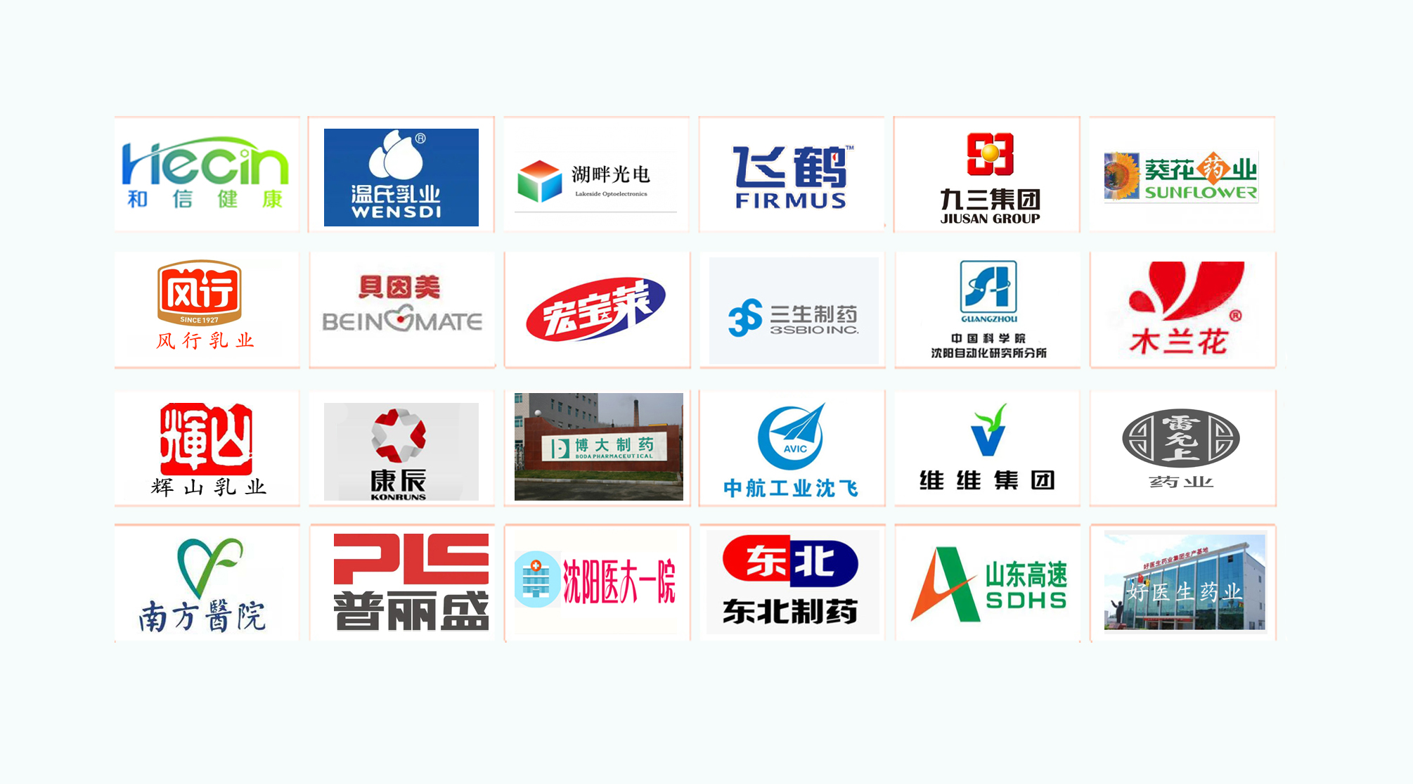 案例展示